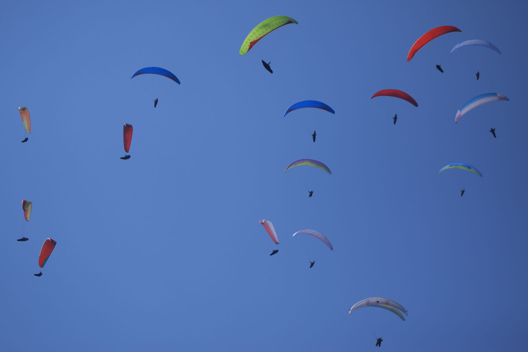 nepal-open-paragliding-championship-kicks-off-in-pokhara