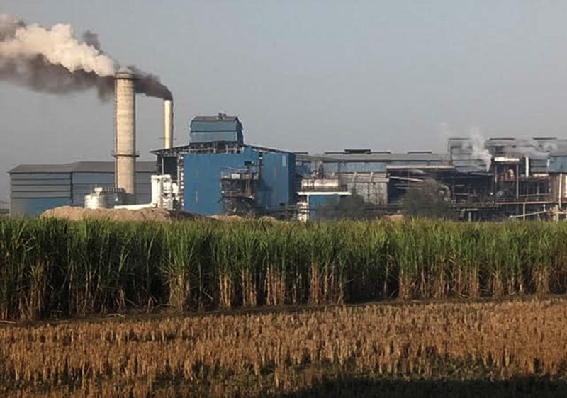 indushankar-sugar-mill-makes-payment-worth-rs-500-million-to-farmers