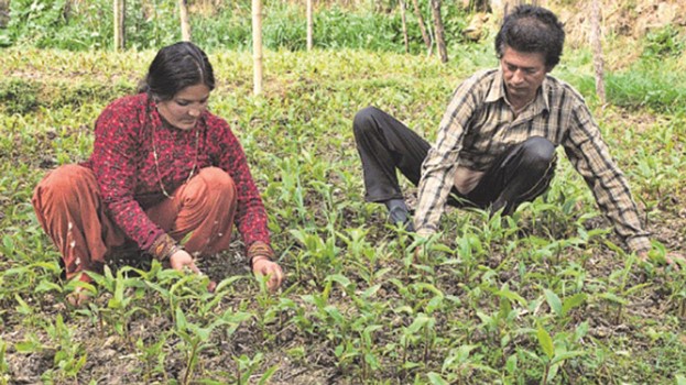 poor-farmers-seek-essential-services
