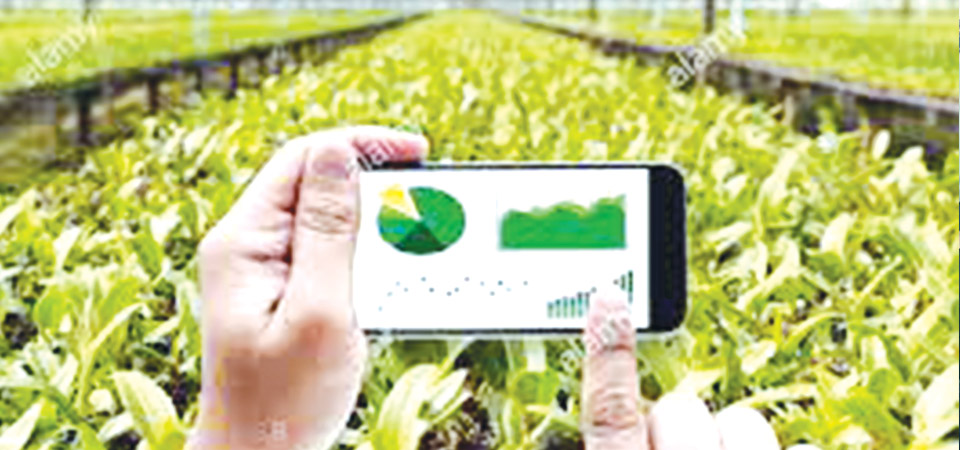 One door information system for farmers in the offing