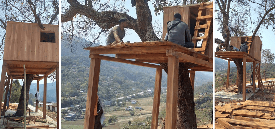 tree-houses-to-lure-tourists-in-tanahun-photo-feature