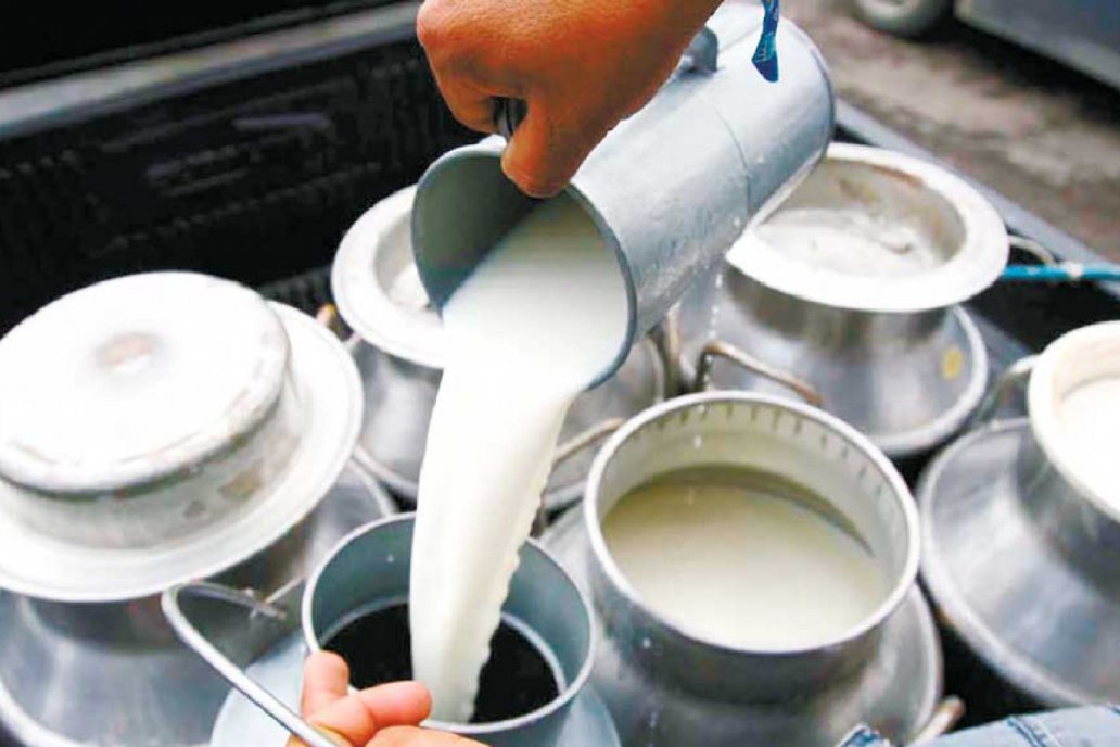 government-preparing-to-adjust-price-of-milk
