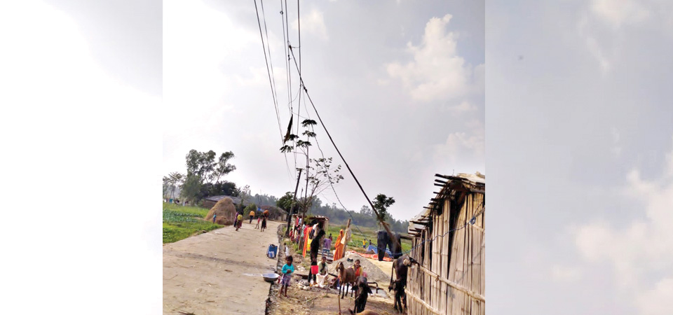 electricity-leakage-falls-to-910-in-five-months