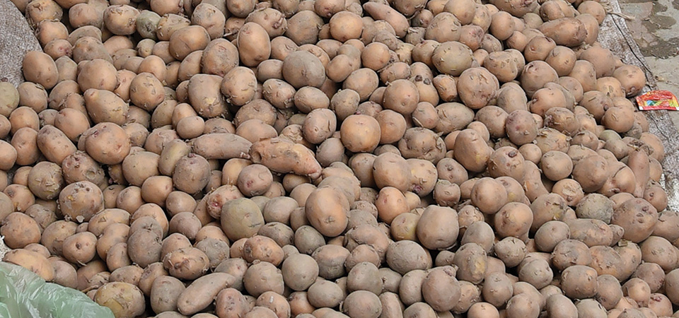 potatoes-worth-rs-6-billon-imported-in-six-months
