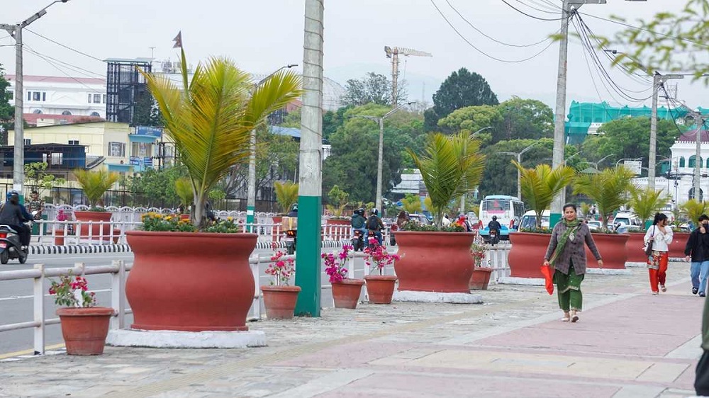 KMC begins roadside flower plantation to beautify Kathmandu