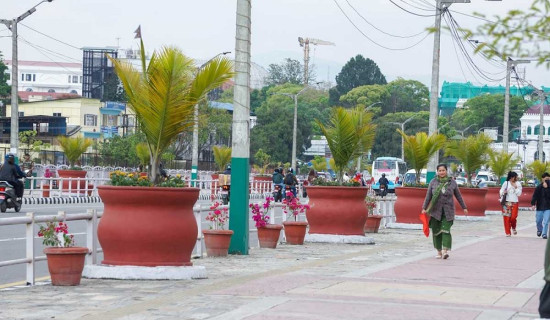 KMC begins roadside flower plantation to beautify Kathmandu