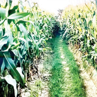 Development partners urge Finance Minister for effective implementation of projects