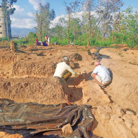 Visiting CPC foreign department chief Liu calls on President