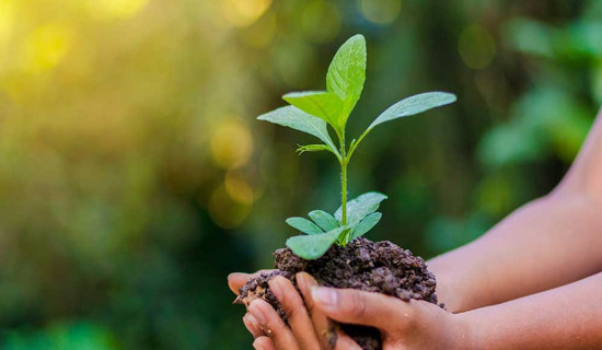 Plant Day being marked with various events