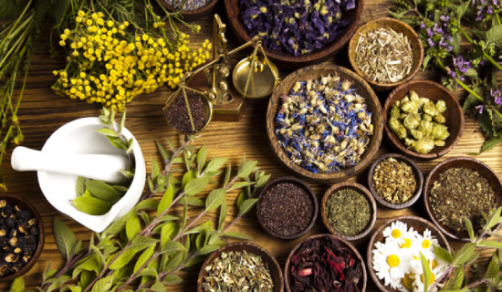 Emphasis laid on herbs export for economic prosperity