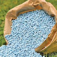 Maoist Centre Chair commits to protecting constitution, people's rights