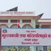 Private sector's share in GDP is 81.55 percent