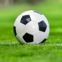 Govt will make vigorous efforts to resolve entrepreneurs' problems: Vice President