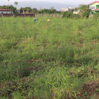 Nepali single women's issues raised at CEDAW meeting