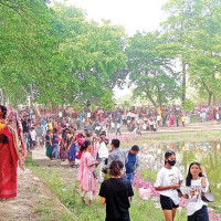 In pictures: Gaijatra celebration