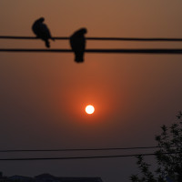 Foreign Ministry to form emergency rescue team