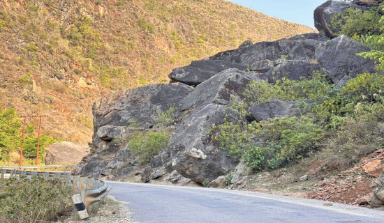 Rapti Highway needs  wildlife-friendly crossings