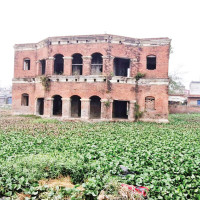 Plucking of first flush tea begins in Ilam