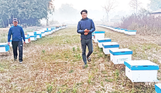 Honey production high in Mahottari district