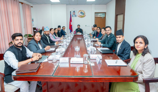 Govt forms property probe panel to investigate public office holders since 2006