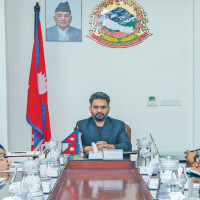 NZ beat South Africa by 21 runs