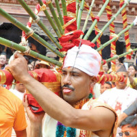 NZ beat South Africa by 21 runs