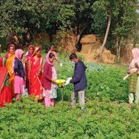 Manang Air chopper goes missing