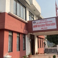 Cocoa farmers work with businesses to fight climate change