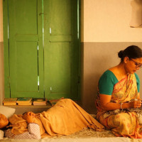 Zoos to be divided into three categories