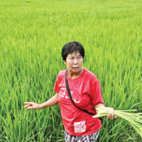 Bhailo: A symbol of Khas civilisation celebrated in Jumla