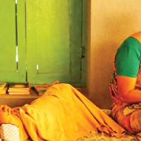 Eastern hills intensify red panda conservation drive