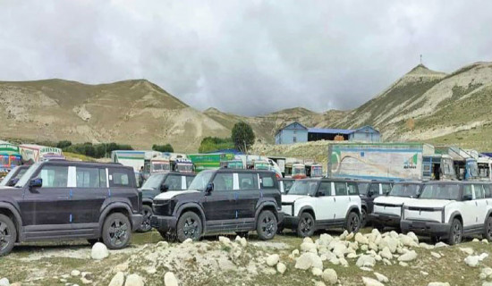 Rs. 12.22B imports via Mustang Customs