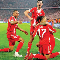 Eastern hills intensify red panda conservation drive