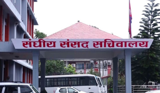 12 thematic committees under Federal parliament to get their presidents today