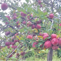 Call To Get Nepal Out Of Grey List