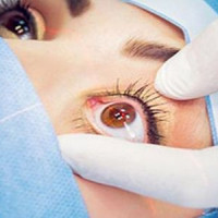 Cultivable fields left barren due to  wild animal menace in Kawasoti