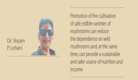 Silent Threat Of Wild Mushroom Poisoning