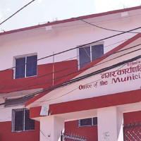 Silent Threat Of Wild Mushroom Poisoning