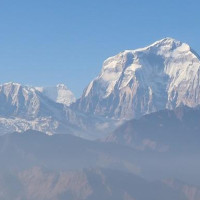 Gene sequencing test for breast cancer yields success