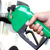 Youths should be diligent for the nation: PM Oli