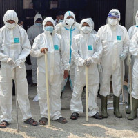 Racism Targets Immigrants