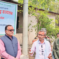 Rare gharials hatch babies in Kailali