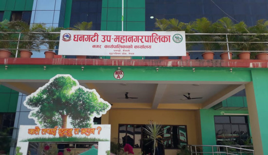 Dhangadhi Sub-Metropolis provides special health service to over 27,000 persons