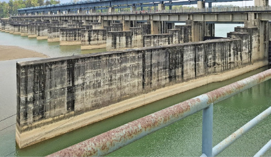 Sikta Project covers only 24,000 hectares of lands