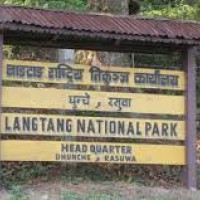 Musahar children scavenge bricks to build their dream homes