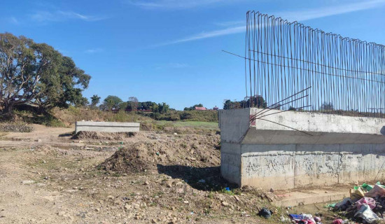 Health Minister urges agitating doctors to withdraw protest