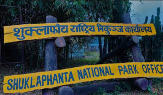 'People with autism need rights-based support'