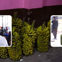 PM Oli urges scientists to engage in necessary inventions, research for development