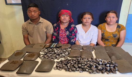 Four arrested with 14 kg hashish
