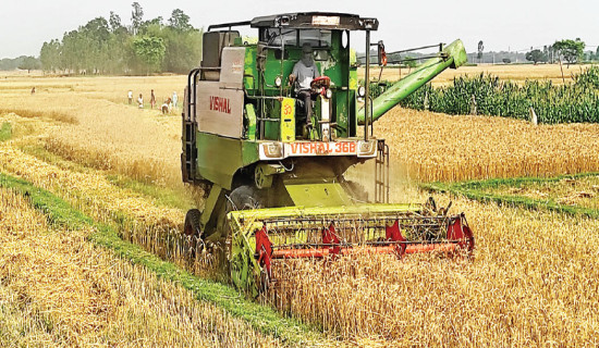 Govt urged to adopt agroecology